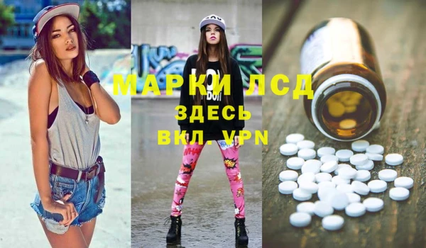 прущие грибы Алзамай