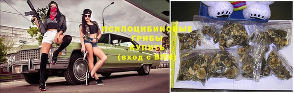 гидропоника Алексеевка