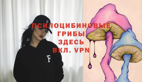 гидропоника Алексеевка