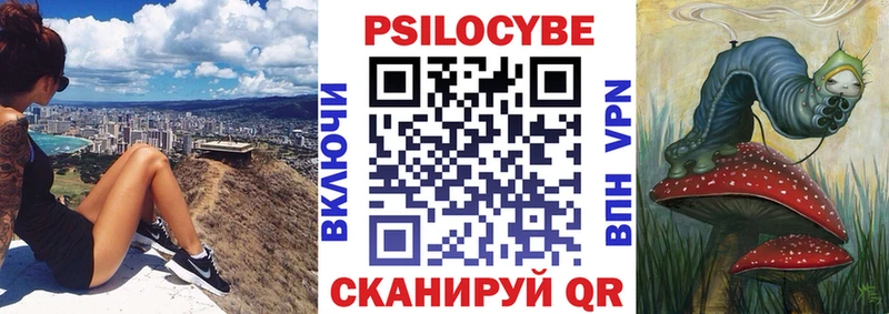Псилоцибиновые грибы мицелий  Дрезна 